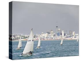 Auckland, North Island, New Zealand, Pacific-Michael Snell-Stretched Canvas