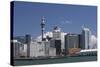 Auckland Sky Tower and City Skyline, North Island, New Zealand, Pacific-Matthew Williams-Ellis-Stretched Canvas