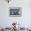 Auckland Sky Tower and City Skyline, North Island, New Zealand, Pacific-Matthew Williams-Ellis-Framed Photographic Print displayed on a wall