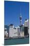 Auckland Sky Tower and City Skyline, North Island, New Zealand, Pacific-Matthew Williams-Ellis-Mounted Photographic Print