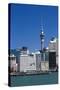 Auckland Sky Tower and City Skyline, North Island, New Zealand, Pacific-Matthew Williams-Ellis-Stretched Canvas