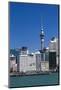 Auckland Sky Tower and City Skyline, North Island, New Zealand, Pacific-Matthew Williams-Ellis-Mounted Photographic Print