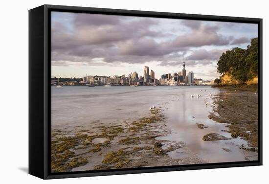 Auckland Skyline at Sunrise, Auckland, North Island, New Zealand, Pacific-Matthew Williams-Ellis-Framed Stretched Canvas