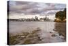 Auckland Skyline at Sunrise, Auckland, North Island, New Zealand, Pacific-Matthew Williams-Ellis-Stretched Canvas