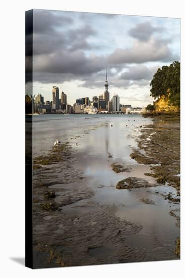 Auckland Skyline Seen across the Harbour from Bayswater, Auckland, North Island-Matthew Williams-Ellis-Stretched Canvas