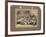 Auckland Touring Team, 1883-Wrigglesworth and Binns-Framed Giclee Print