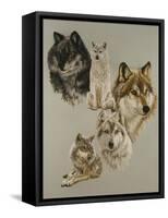 Audacious-Barbara Keith-Framed Stretched Canvas