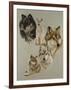 Audacious-Barbara Keith-Framed Premium Giclee Print