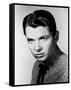 Audie Murphy-null-Framed Stretched Canvas