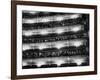 Audience Applauding Ballet Performed in the Bolshoi Theater-null-Framed Photographic Print