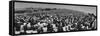 Audience at Woodstock Music Festival-John Dominis-Framed Stretched Canvas