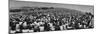 Audience at Woodstock Music Festival-John Dominis-Mounted Photographic Print