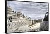 Audience Cheering Charioteersin the Circus Maximus, Ancient Rome-null-Framed Stretched Canvas