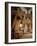 Audience Hall, Lugwig II's Linderhof Palace-null-Framed Giclee Print