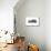 Audio Cassette Tape-Victor De Schwanberg-Mounted Photographic Print displayed on a wall