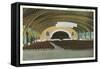 Auditorium Interior, Lakeside-null-Framed Stretched Canvas