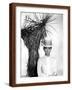 Brown Frame