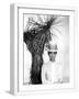 White Frame