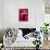 Audrey Hepburn Cat Scratch Spoof-null-Framed Stretched Canvas displayed on a wall