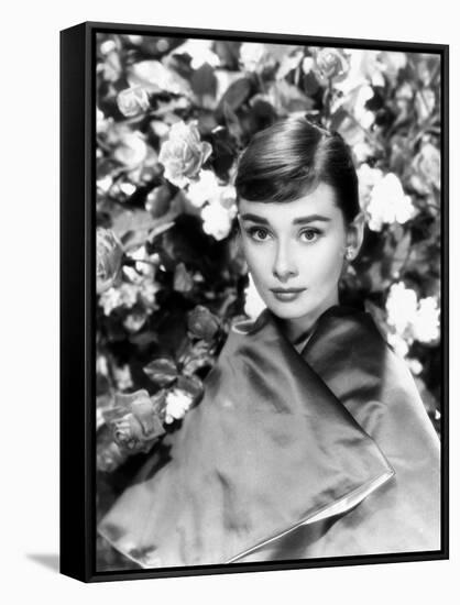 Audrey Hepburn-null-Framed Stretched Canvas