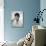 Audrey Hepburn-null-Photographic Print displayed on a wall