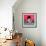 Audrey Hepburn-Anne Storno-Framed Giclee Print displayed on a wall