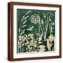 Brown Frame