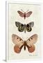 Gramercy White
