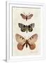 Gramercy White