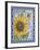 Audreys Sunflower-Jean Plout-Framed Giclee Print