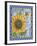 Audreys Sunflower-Jean Plout-Framed Giclee Print