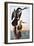 Audubon: Anhinga-John James Audubon-Framed Giclee Print