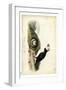 Audubon Arctic Puffin-John James Audubon-Framed Art Print