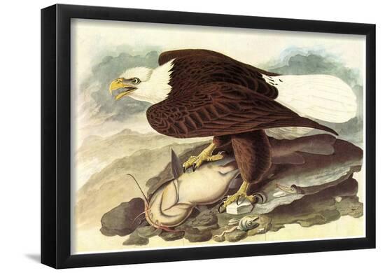 Poster, , large