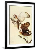 Audubon Barn Owl Bird-null-Framed Art Print