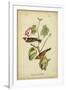 Audubon Bay Breasted Warbler-John James Audubon-Framed Art Print