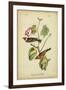 Audubon Bay Breasted Warbler-John James Audubon-Framed Art Print