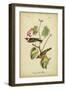Audubon Bay Breasted Warbler-John James Audubon-Framed Art Print