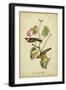 Audubon Bay Breasted Warbler-John James Audubon-Framed Art Print