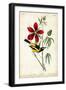 Audubon Bird & Botanical I-John James Audubon-Framed Art Print