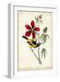 Audubon Bird & Botanical I-John James Audubon-Framed Art Print