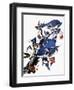 Audubon: Blue Jay-John James Audubon-Framed Premium Giclee Print