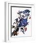 Audubon: Blue Jay-John James Audubon-Framed Premium Giclee Print