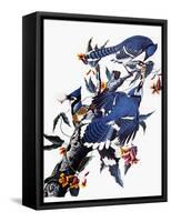 Audubon: Blue Jay-John James Audubon-Framed Stretched Canvas