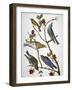 Audubon: Bluebirds-John James Audubon-Framed Premium Giclee Print