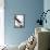 Audubon: Booby-John James Audubon-Framed Stretched Canvas displayed on a wall