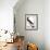 Audubon: Booby-John James Audubon-Framed Giclee Print displayed on a wall