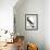 Audubon: Booby-John James Audubon-Framed Giclee Print displayed on a wall