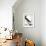 Audubon: Booby-John James Audubon-Framed Giclee Print displayed on a wall