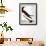 Audubon: Booby-John James Audubon-Framed Giclee Print displayed on a wall